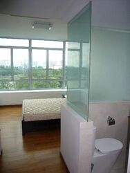 The Lakeshore (D22), Condominium #489115721